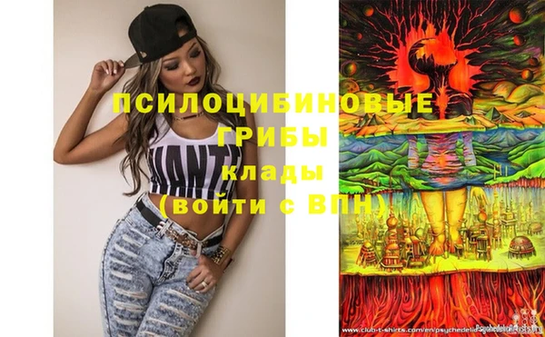 PSILOCYBIN Заволжье
