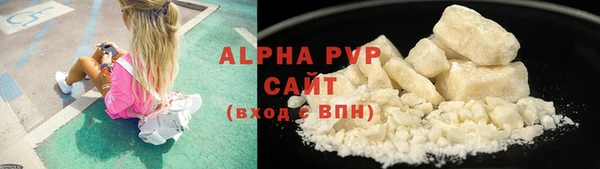 PSILOCYBIN Заволжье