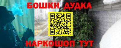 spice Пенза