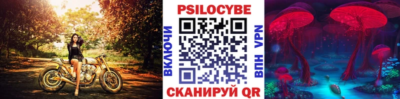 Галлюциногенные грибы Psilocybine cubensis  блэк спрут маркетплейс  Кемерово 