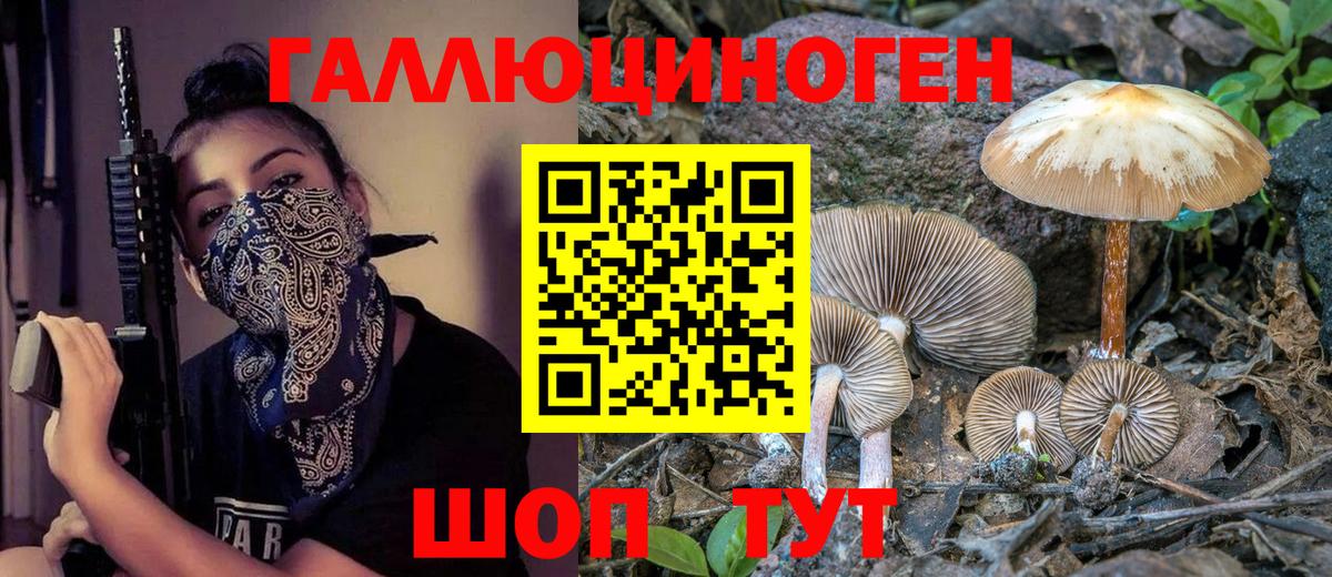 Галлюциногенные грибы прущие грибы  Вход с VPN  Россия 